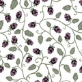 Bramble apron